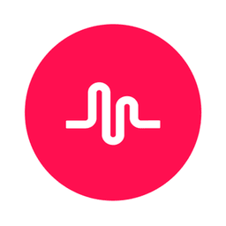TikTok - Videos, Shop & LIVE icon from 2016–2018